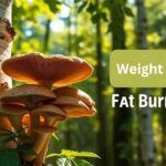 Chaga-Mushroom-Benefits-Weight-Loss